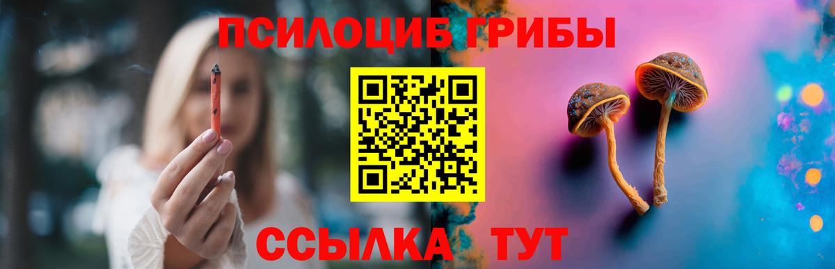 Псилоцибиновые грибы Magic Shrooms  Вход с VPN  Избербаш 