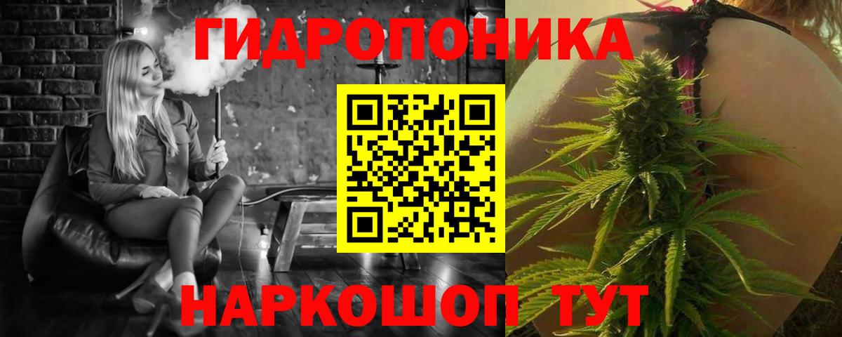 Конопля OG Kush Избербаш